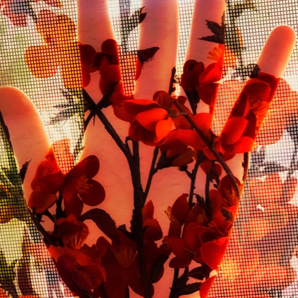 Meet your Posher, Valeria